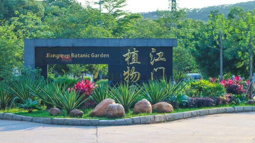 首屆杜阮羊肉美食節(jié)盛大啟動，融合美食與冰雪體驗(yàn)